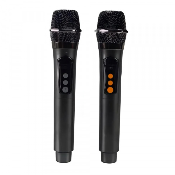 Bluetooth колонка Shengyou Q100 MAX с 2 микрофонами